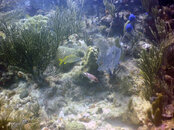PICT0130.JPG