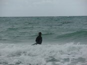 PICT0008.jpg