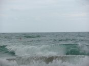 PICT0010.jpg