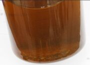 Before water in oil settled down.JPG