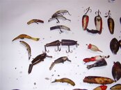 tackle box 009.jpg