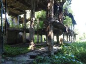 Japanese admin building at Peleliu.jpg
