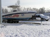 Scarab Snow.jpg