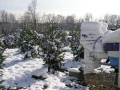 scarab snow  3.jpg