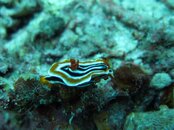 IMG_0663j.jpg