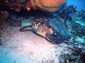 IMG_0055.jpg