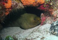 IMG_0059.jpg
