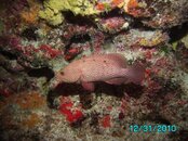 IMG_0079.jpg