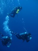 Into the blue!.jpg