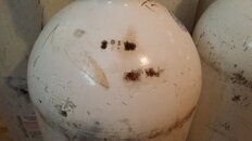 20181214_120307.jpg