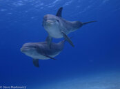 IMG_5074-2.jpg