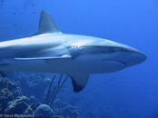 IMG_5177-3.jpg