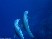 IMG_5240-3.jpg