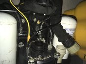 IMG_3858.JPG