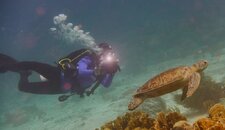 Meg and turtle.jpg