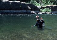 John diving river--1970s.jpg