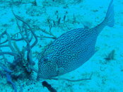 P1250027.JPG