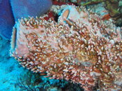 P1250026.JPG