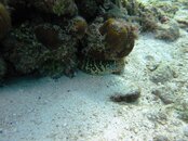 IMG_2661.jpg