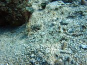 IMG_2665.jpg