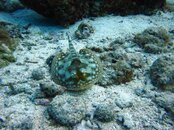 IMG_2674.jpg