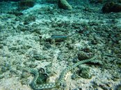 IMG_2684.jpg