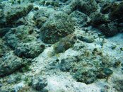 IMG_2696.jpg