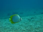 IMG_2705.jpg