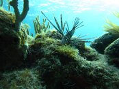 IMG_2717.jpg