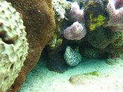 IMG_2804.jpg