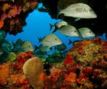 IMG_0405.jpg
