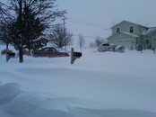IMG00035-20110202-0859.jpg