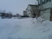 IMG00037-20110202-0859.jpg