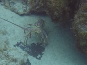 GOPR5588 (2).JPG