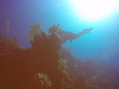 GOPR5556.JPG