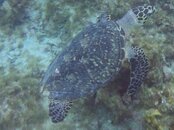 GOPR5659 (2).JPG