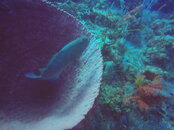 GOPR5754.JPG