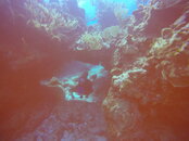 GOPR5879.JPG