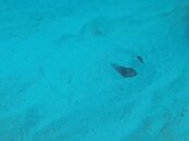 GOPR5803 (2).JPG