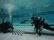 Underwater Checkers.JPG