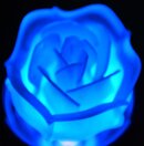 DSC_3180_small.jpg