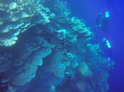 G0059646.JPG