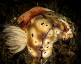 tulamben 20192-7676.jpg