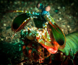 tulamben 20192-8063.jpg