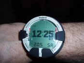P1010001.jpg