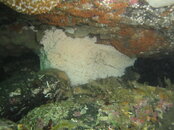 DSC04593.JPG