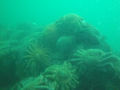 DSC04685.JPG
