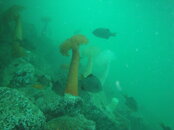 DSC04687.JPG