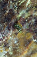IMG_1397.CR2.jpg