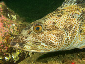 IMG_2080-2.jpg